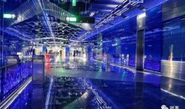 广州爆料大全视频,揭秘城市生活热点与幕后故事