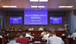 翁源县新闻爆料,揭秘当地热点事件背后的真相